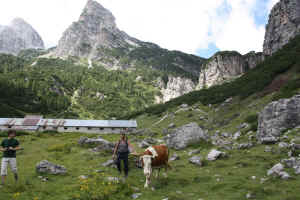 Malga Spora e Crozzon di Spora